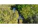 Aerial view of the house showcasing the roof and surrounding mature trees, creating a private setting at 4915 Churchill Pl, Land O Lakes, FL 34639