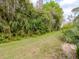 Lush, green backyard with a privacy hedge offering a serene outdoor space at 5100 Burchette Rd # 500, Tampa, FL 33647