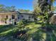 View of the backyard featuring fruit trees and a covered patio at 7126 Oelsner St, New Port Richey, FL 34652