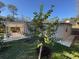 Backyard view of home with a covered patio and surrounding lawn at 7126 Oelsner St, New Port Richey, FL 34652