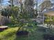 Backyard features fruit trees and covered patio at 7126 Oelsner St, New Port Richey, FL 34652