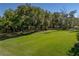 Lush green space with mature trees, perfect for enjoying nature and outdoor activities at 13551 Carnoustie Cir, Dade City, FL 33525