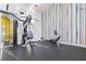 Well-equipped fitness center featuring weight training equipment and sleek design for a modern workout experience at 14123 Barrington Stowers Dr, Lithia, FL 33547
