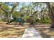 Outdoor playground with slides and climbing equipment surrounded by mature trees and lush greenery at 14123 Barrington Stowers Dr, Lithia, FL 33547