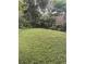 Lush green backyard providing a serene and private outdoor space at 1706 E Fern St, Tampa, FL 33610