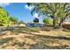 Expansive backyard with mature trees and a trampoline offers ample space for recreation and relaxation at 2035 Ronald Cir, Seffner, FL 33584