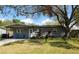 Charming single-story home featuring a manicured lawn, beautiful tree, and cozy front porch with blue chairs at 337 Shore E Dr, Oldsmar, FL 34677