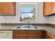 Close-up of the kitchen sink with a view of the backyard at 5208 S 82Nd St, Tampa, FL 33619