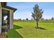 Backyard with a tree, lush grass, and serene scenery; an outdoor retreat at 8100 Olive Brook Dr, Wesley Chapel, FL 33545