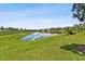Backyard pond and lawn with blue skies and houses in the distance; a perfect neighborhood at 8100 Olive Brook Dr, Wesley Chapel, FL 33545