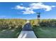 Picturesque boardwalk path leading to serene waterfront views through lush reeds and grasses at 9748 Ibis Grove Blvd, Wesley Chapel, FL 33545