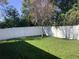 Manicured backyard features green grass and privacy fence at 10434 Scenic Hollow Dr, Riverview, FL 33578