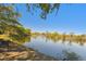 Scenic pond view with mature trees along the bank on a clear day at 21205 Calle Rosa Dr # 10, Land O Lakes, FL 34637