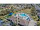 Aerial view of the community pool with palm trees, lounge chairs, and recreation areas at 2514 Sandy Hill Ct, Holiday, FL 34691