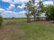 Spacious grassy backyard with trees and distant fencing, offering privacy and room to roam at 39745 River Rd, Dade City, FL 33525