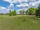 Lush backyard with green trees offering a serene setting for outdoor activities and relaxation at 39745 River Rd, Dade City, FL 33525