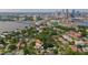 Urban landscape featuring lush trees amidst cityscape, complete with scenic waterfront views at 54 Aegean Ave, Tampa, FL 33606