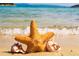 Beautiful beach scene featuring a starfish and seashells on a sandy shore with ocean view at 1507 Hartwick Dr, Sun City Center, FL 33573