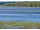 Scenic lake view with abundant wildlife at 18253 Townsend House Rd, Dade City, FL 33523
