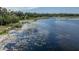 Aerial of lake shows lakefront with abundant wildlife at 18253 Townsend House Rd, Dade City, FL 33523