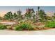 Community park and playground featuring a hillside slide and native landscaping at 2671 Murray Pass, Odessa, FL 33556