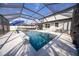Sparkling pool with a screen enclosure with plenty of room for relaxation and fun under the sun at 2671 Murray Pass, Odessa, FL 33556
