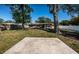 Large backyard featuring mature trees and a concrete patio perfect for outdoor gatherings at 2707 Morningside Dr, Clearwater, FL 33759