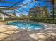 Outdoor pool area, screened in, with blue skies, well maintained shrubs, and lush greenery at 2806 Forest Club Dr, Plant City, FL 33566