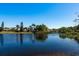 Scenic pond view surrounded by lush landscaping and residential homes on a clear, blue-sky day at 2991 Covewood Pl, Clearwater, FL 33761