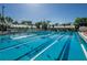 A large swimming pool with marked lanes is surrounded by trees and covered seating areas at 3021 Countryside Blvd # 26A, Clearwater, FL 33761
