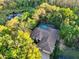 Aerial view of home surrounded by dense, mature trees, showing the roof, pool enclosure, and surrounding foliage at 3198 Thatcher Ln, Tarpon Springs, FL 34688