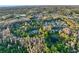 Gorgeous aerial shot showing neighborhood's placement alongside wooded area and a small body of water at 3198 Thatcher Ln, Tarpon Springs, FL 34688
