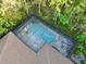 Overhead view of a screened in pool and brick patio and home surrounded by trees, showing roof and part of backyard at 3198 Thatcher Ln, Tarpon Springs, FL 34688