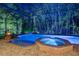 A captivating night view of the screened-in pool and spa, surrounded by lush trees at 3198 Thatcher Ln, Tarpon Springs, FL 34688
