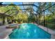 A private screened-in pool and spa with a lush backyard, perfect for outdoor entertaining at 3198 Thatcher Ln, Tarpon Springs, FL 34688