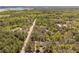 Aerial view showcasing a home with a pool surrounded by lush greenery and a long driveway at 35128 Excalibur Rd, Webster, FL 33597