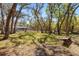 Expansive backyard featuring a cozy screened patio and serene wooded views at 35128 Excalibur Rd, Webster, FL 33597