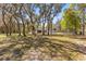Beautiful home surrounded by mature trees on a spacious lot at 35128 Excalibur Rd, Webster, FL 33597