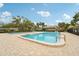 Community pool with lounge seating and mature palm trees providing shade at 8419 Laurelon Pl, Temple Terrace, FL 33637