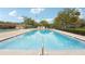 Large community swimming pool with lounge seating and mature shade trees at 8419 Laurelon Pl, Temple Terrace, FL 33637