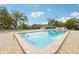 Two swimming pools with lounge seating, mature landscaping and shade at 8419 Laurelon Pl, Temple Terrace, FL 33637