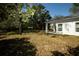 Green backyard featuring mature trees, providing ample shade and privacy at 9445 Eldridge Rd, Spring Hill, FL 34608