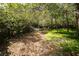 Leafy backyard featuring lush greenery, offering a serene and private outdoor space at 9445 Eldridge Rd, Spring Hill, FL 34608
