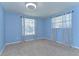 Bedroom with blue walls, two windows and neutral carpet at 9826 Island Harbor Dr, Port Richey, FL 34668