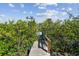 Wooden dock surrounded by lush greenery, offering a peaceful path to the waterfront at 1516 Massachusetts Ne Ave, St Petersburg, FL 33703