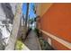 Exterior side yard with a concrete walkway and tall palm trees offering water views at 17821 Gulf Blvd # B, Redington Shores, FL 33708