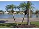 Tranquil pond view framed by palm trees and lakeside residences, creating a serene atmosphere and neighborhood charm at 26 Clintwood Ave, Englewood, FL 34223