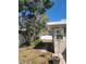 Landscaped backyard with blooming tree and a charming walkway leading to the fence at 2850 41St N St, St Petersburg, FL 33713