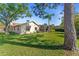 Spacious backyard featuring lush green grass, the home, a screened in pool with a patio area, mature trees and landscaping at 3442 Beech Trl, Clearwater, FL 33761