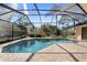 Sparkling swimming pool with a screen enclosure and brick patio area for outdoor enjoyment and relaxation at 3442 Beech Trl, Clearwater, FL 33761